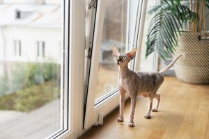 REHAU Thermo-Design — новинка под старым названием