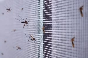 Москитная сетка на окна пластиковые