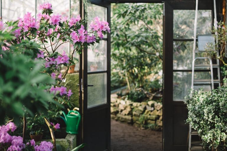 Двери для зимнего сада